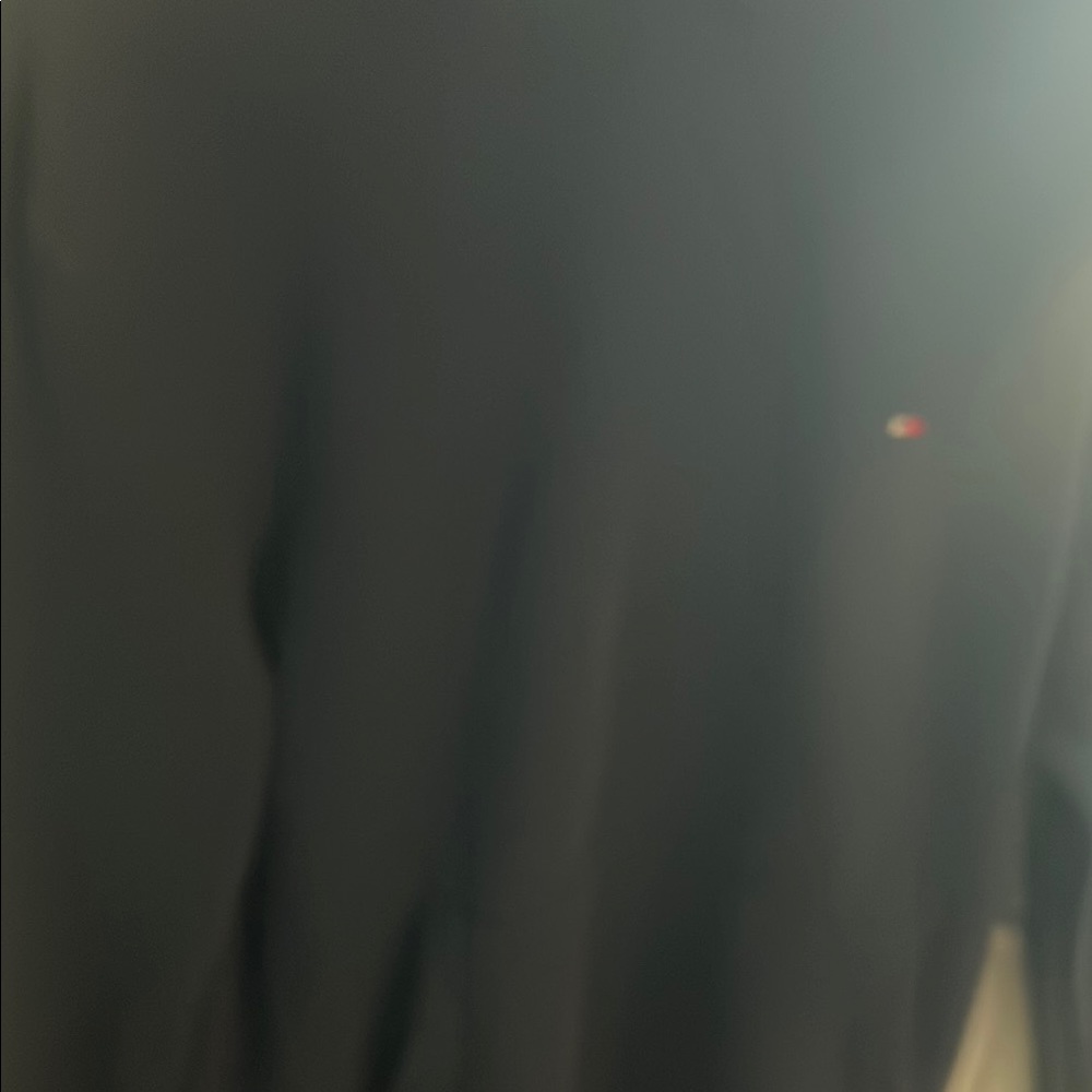 Tommy Hilfiger Blue Sweatshirt